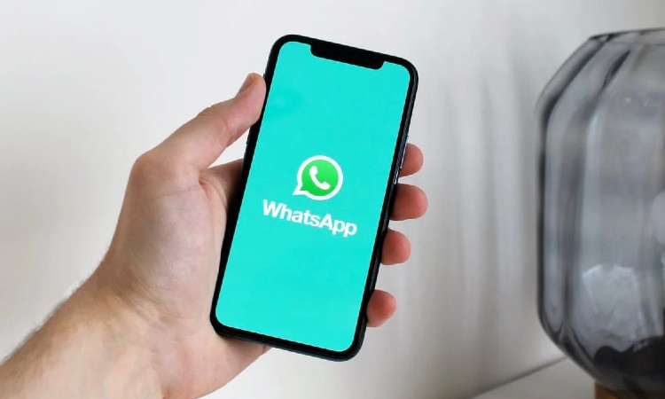 Cómo recuperar datos de WhatsApp en iOS y Android