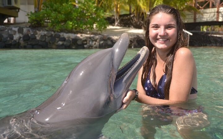 Nado con delfines en Cancún e Isla Mujeres