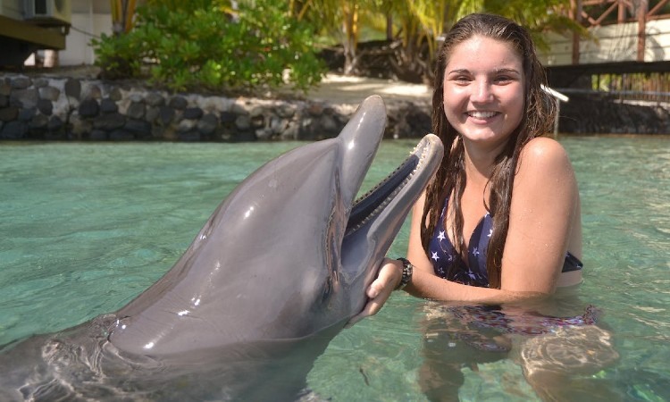Nado con delfines en Cancún e Isla Mujeres
